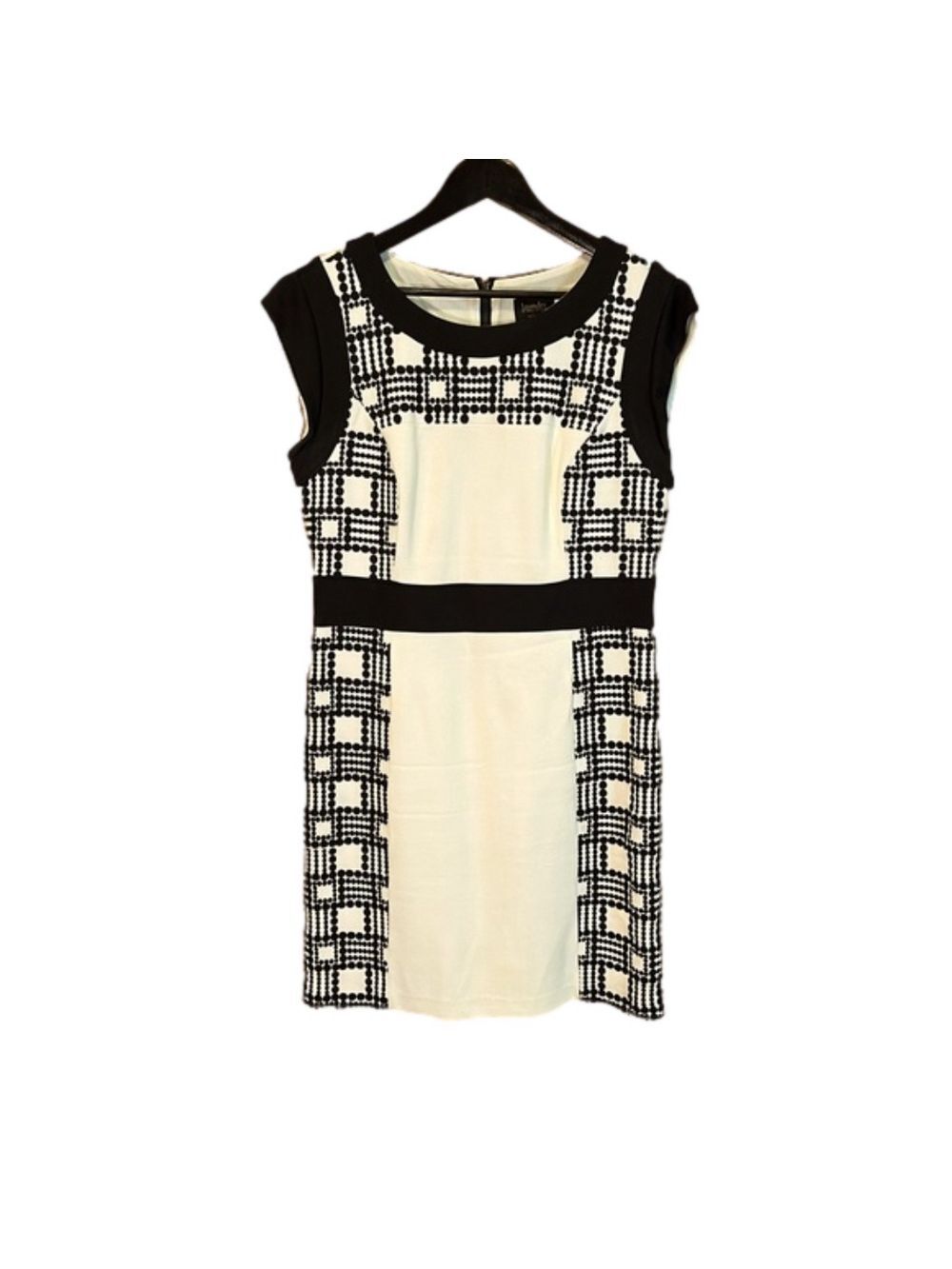 Lovely Laundry Dress with Black Detail